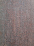 Christian Seidler 2015 - Bild 06